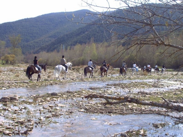  Équitation 
